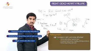 Rightsided heart failure  Part 1 Definition and Pathogenesis  Usmle step 1 [upl. by Edith]