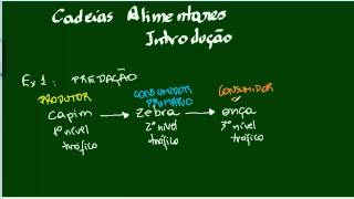 Cadeias Alimentares  Classificação dos Organismos [upl. by Zarihs620]