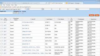 Timekeeper Timesheet Profile [upl. by Kaia]