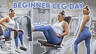 BEGINNER LEG DAY  Using Basic Gym Equipment [upl. by Ier]