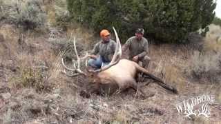 Hunting Colorado Elk On Public Land 2 [upl. by Arrec236]