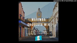 MARIMBA ORQUESTA CONVITERO MIX 2019 QUEBRADITAS 100 502 [upl. by Danna]