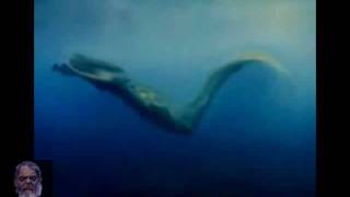 Amazing real mermaids of mako island found exposed [upl. by Russon950]