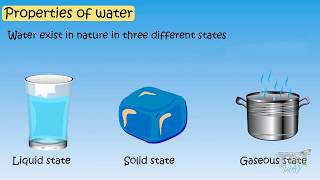 Properties of Water For Kids  Science  Tutway [upl. by Keldah]