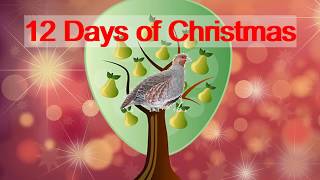 12 DAYS OF CHRISTMAS instrumental with lyrics [upl. by Sky]