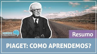 Resumo da Teoria de Piaget [upl. by Ahsenak]