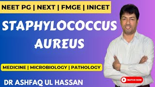 Staphylococcus aureus  Microbiology  NEET PG  INICET  NEXT  FMGE  USMLE [upl. by Ulrike]