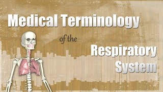 Medical Terminology of the Respiratory System [upl. by Nauh]