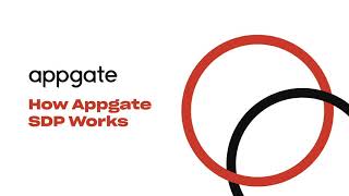 How Appgate SDP Works [upl. by Ednihek]