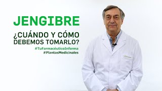 ¿Cómo armar una casita de jengibre  Sabores  Edición noviembre [upl. by Hellman]