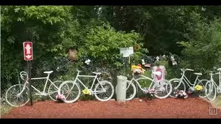 Ghost Bikes return to the Kalamazoo memorial site [upl. by Hassin]