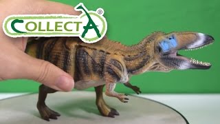 CollectA® Carcharodontosaurus Review [upl. by Shannah341]