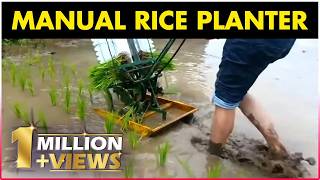 Manual Rice Planter  Manual Paddy Transplanting Machine [upl. by Byrann]