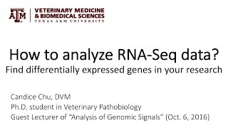 How to analyze RNASeq data Find differentially expressed genes in your research [upl. by Enelrad]