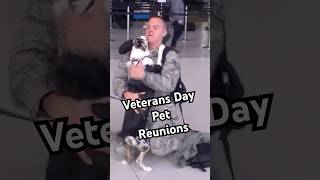 🐕Veterans Returning Home to their Dogs 💕 [upl. by Meeks]