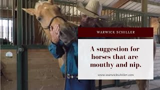 Solving biting or nipping issues with horses [upl. by Aihsyt]