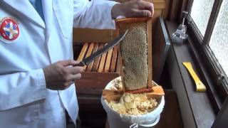 6 Harvesting and processing honey from your honeybees [upl. by Jaye]