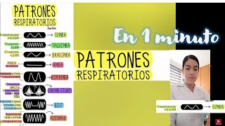 PATRONES RESPIRATORIOS en 1 MINUTO [upl. by Tsugua]