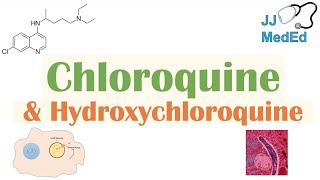 Chloroquine amp Hydroxychloroquine  Mechanism of Action Targets Malaria Adverse Effects [upl. by Irej533]