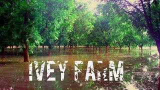 Ivey farm [upl. by Andria]