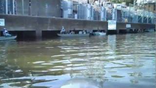 Fishing at Wheeler Dam Alabama [upl. by Junieta634]