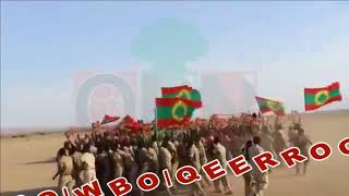 New Oromo Music ABOWBOQEERROO Maaltu Caalaa [upl. by Annor168]