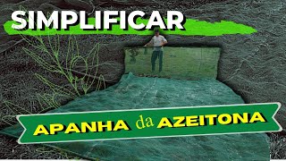 Como simplificar a APANHA da AZEITONA [upl. by Aiciles]