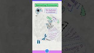 Definition of Chromatin Chromosome and Chromatid [upl. by Sumahs]