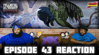 FMA Brotherhood Episode 43 Reaction [upl. by Amorette]