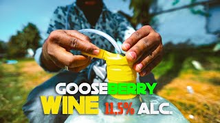 Gooseberry Wine Turning Berries into Bold Brews  Wine Making🍷 Home Made  Part 1 [upl. by Antony916]