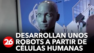 Los robots creados de células humanas pueden regenerar neuronas [upl. by Jordan]