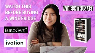 Watch this Before Buying a Wine Fridge  Guide on which Wine Storage Cooler is Best for You [upl. by Tlevesoor]