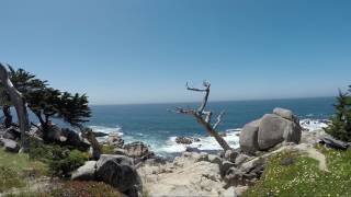 17 Mile Drive  Tour Guide  Scenic Drive [upl. by Linzy857]