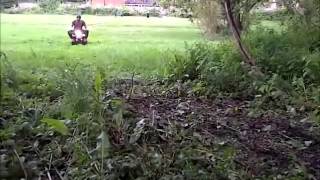 Video  18  Kazuma Meerkat 50cc Quad Bike ATV Hill Climb and BIG Crash [upl. by Holder]