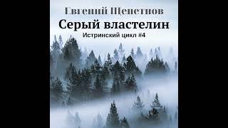 Евгений Щепетнов – Серый властелин Аудиокнига [upl. by Elwood]