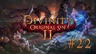 Divinity Original Sin II 22 FIRE SLUGS  Lets Play [upl. by Bitthia10]