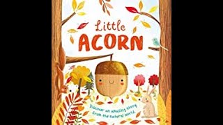 Little Acorn [upl. by Atsira]