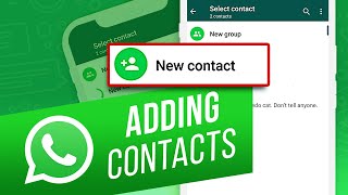 How to Add Contacts to WhatsApp from iPhone  How to Add People to Groups on WhatsApp [upl. by Metsky]