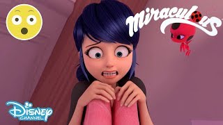 Miraculous Ladybug  Troublemaker is Back 😱  Disney Channel UK [upl. by Lovel]