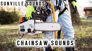 Chainsaw  Amazing Sounds with Peter Baeten [upl. by Ares424]