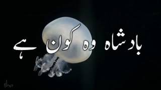 Hasbi Rabbi jellallah Allah hu AllahUrdu lyric videoSami YusufWhatapp status [upl. by Garreth]