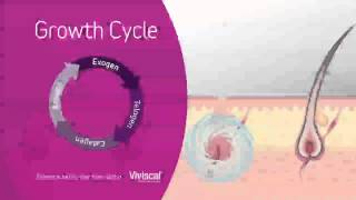 Viviscal Hair Growth Cycle 4 stages [upl. by Lua]