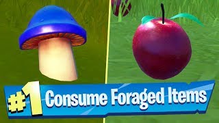 Consume Foraged Items Locations  Fortnite Battle Royale Hide and Seek Challenge [upl. by Noraa]