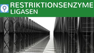 Restriktionsenzyme amp DNALigasen einfach erklärt  Werkzeuge Methode Grundlagen der Gentechnik 1 [upl. by Ailad]