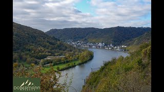 BuchsbaumWanderweg und Burg Eltz 2024 [upl. by Francesco978]