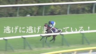 【競馬MAD】BLAZE  競馬名実況、名レース集part4 [upl. by Holman]