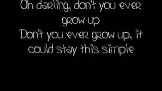 Never Grow Up  Taylor Swift lyrics [upl. by Ahon474]