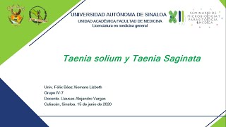 11 Taenia solium y Taenia saginata [upl. by Estus]