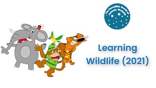 Antonio Wolanin  Learning Wildlife 2021 [upl. by Anewor]