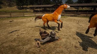 RDR 2  BEST HORSE TAMER  JOHN MARSTON  CUSTOM HORSE [upl. by Carmel]